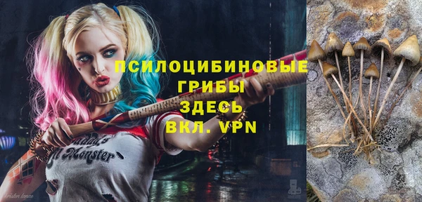 MDMA Premium VHQ Зеленодольск