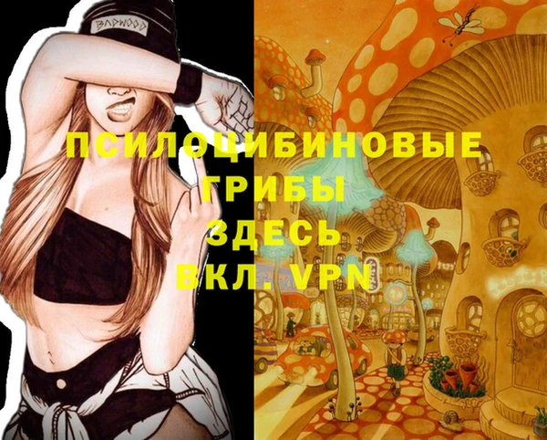 MDMA Premium VHQ Зеленодольск