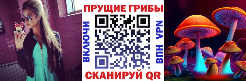 магазин Севск MEGA ссылки Псилоцибиновые грибы MAGIC MUSHROOMS